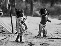 M0M8863 web 240 2014 Orang Asli