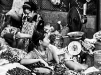 2015-04-07-0091 web 240 Bangkok