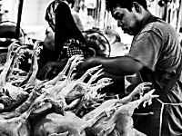 2015-04-12-0004 web 240 Ayutthaya