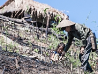 2015-04-29-6359 web 240 Laos Country side