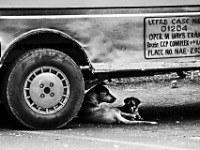 2015-04-05-3082 web 240 Philippinen